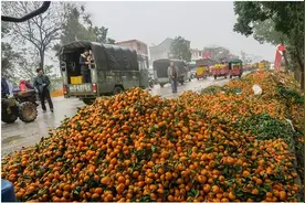 每年倒掉1200万吨，贱卖没人要：被进口碾压的国产水果如何翻身？图片