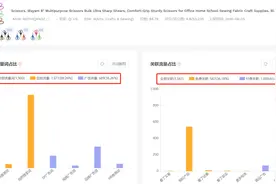 BSR50的大卖，都是如何做流量精细化布局的？图片