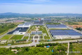 线上线下齐发力，看迎驾如何抓住春节营销的流量密码图片