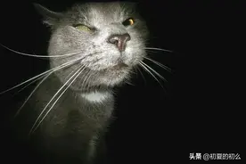 幽默搞笑的文案 | 你以为向生活低头就好了？其实生活是想让你下跪图片