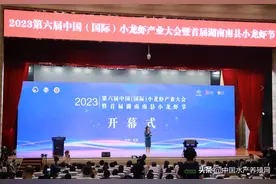 “南县小龙虾”区域公用品牌价值高达124.5亿元图片