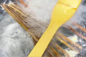 厨房若有这2种“菜板”，建议尽早处理，不是误导，过来人的教训图片