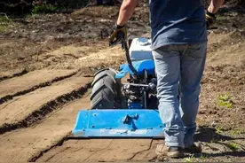 农民果园除草不用草甘膦，无需施药有以下五种方法图片