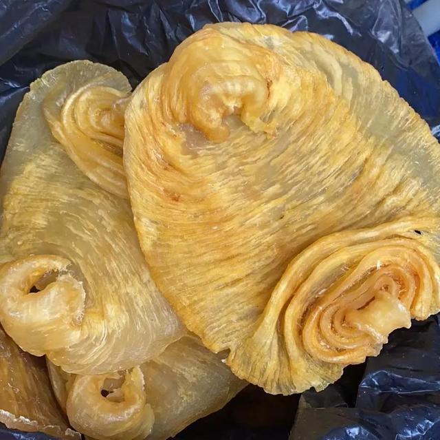 香港的花胶是什么 2026年香港花胶是什么东西