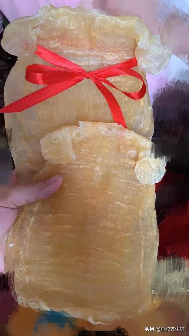 合成鱼胶 2026年合成鱼胶怎么分辨