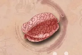 最全恶魔果实图鉴，你喜欢哪一个？图片