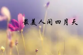 你认为人世间最美的是什么图片