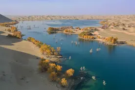 短视频文案：《滚滚而下的塔里木河》屯垦戍边、共筑辉煌图片