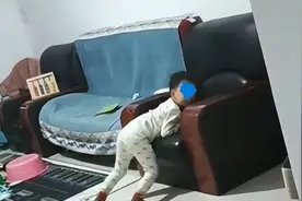 还打不打？不打就玩去了！3岁萌娃犯错后自觉撅屁股等挨打图片