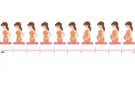 心理学科普（11）：发展心理学 - 胎儿的行为和认知图片