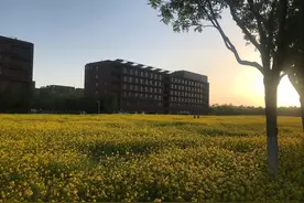 当时为什么从航天科工/科院辞职（一）图片