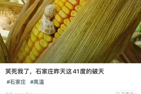 玉米热成爆米花？你又被摆拍忽悠了图片