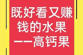 亩产3000斤，卖价10元一斤，曾被用作贡品的钙果，种植前景如何？图片