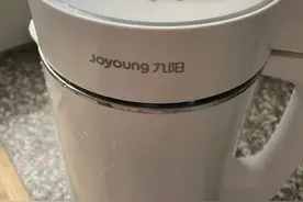 豆浆机，破壁机，分别使用了1年多，发现两者的使用感受太不同了图片