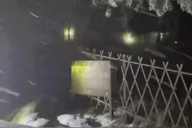 安徽下雪了！已积雪1厘米！图片