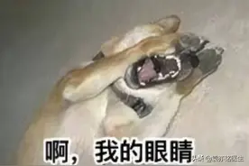 下面长了一圈小疙瘩，究竟是尖锐湿疣，还是珍珠疹？可别错怪了人图片