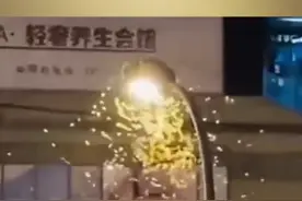 上海白蚁大爆发，为何一夜之间突然出现？原来竟是为了“找对象”图片