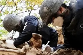 2014年河南石头下发现男尸，依然保持射击姿势，市领导：严格保密图片