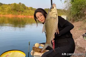 土鲮鱼的5个特殊习性，喜欢钓土鲮的钓友有福了，准备钓土鲮爆护图片