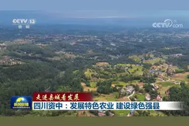 「走进县城看发展」四川资中：发展特色农业 建设绿色强县图片