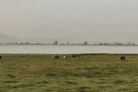 夫妻之间，最“舒服”的4种相处方式，感情会越来越好图片