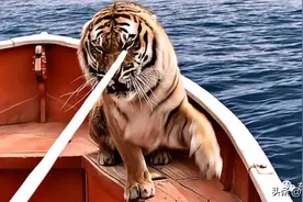 中年返贫“四大坑”，你不进坑谁进坑？醒醒吧，躁动的中产图片