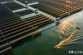 投资75亿元、铺满半个湖面的光伏板，如今要被拆除？图片