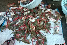 开海后！钦州港市场人比海鲜多，网友：价钱比市区还贵图片