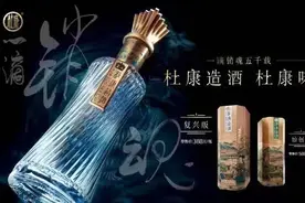 各界权威谈“杜康造酒”：在希望中崛起的杜康新势力图片