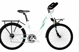 旅行自行车=“老头车”？认识真正的旅行自行车图片