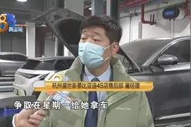 想开新车回家过年，“宋”出一个故障图片