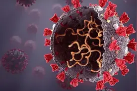 医生提醒：普通感冒和新冠有这几点不同，普通人就可以轻松辨别图片