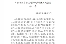关于广西大金沙投资有限公司债权人申报债权的公告图片