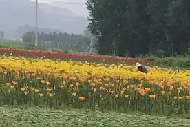 太巧了，昨中午得知我厂一老人就是酒后洗澡，摔倒不久去世了图片