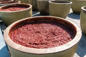 中国的8大名酱，有些被当地人视为珍宝，外地却很少吃，下饭绝配图片