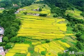 广州出发-容县+信宜3天游，打卡容县真武阁、船游容州古城图片