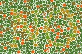 车管所提示：考驾照需通过色盲测试，这几张图要懂得辨认图片