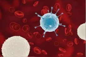 白细胞计数低应该怎么办？图片