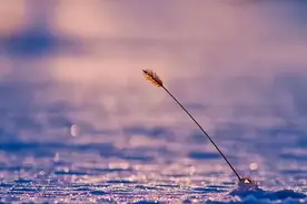 男人已经把你当妻子了，就会释放这三个信号，很容易判断图片