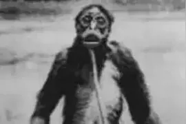 童年噩梦“老猫猴”，还真有人说见过什么样图片