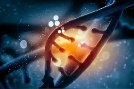 人类可能“永生”？随着科技和医疗的发展，人类寿命也在不断增长图片