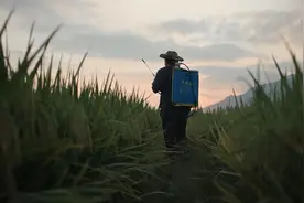 全国粉丝40万，这位魔术大师就在温州！身份揭晓，万万没想到啊图片