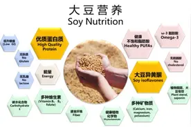 公认的高营养食物 竟在维他奶里找到了图片