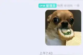 武汉大学出了个“黄包学姐”，比张美玉还拽，被中文系女生回怼图片