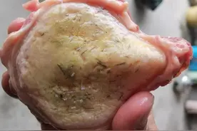 广东河道“青鱼王”被人钓上岸，嘴里鱼石价值上万？鱼石是什么？图片