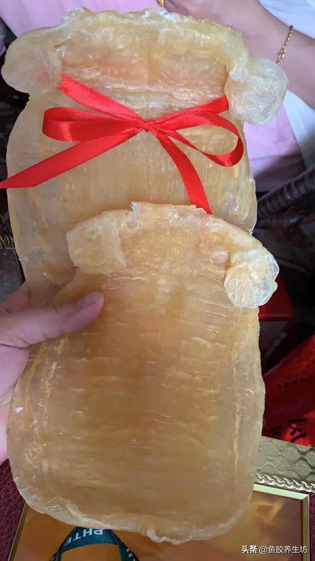 赤嘴鳘鱼胶真假 2026年赤嘴鱼胶的口感