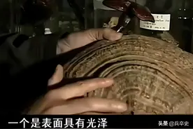 08年，湖南小伙古墓捡尸骨上的“肉”，称是阿魏治百病，专家咋说图片