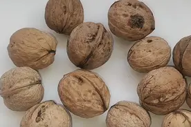 为啥核桃越来越便宜了？新疆老果农说漏嘴，其中的“猫腻”不小图片