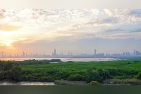 家底大揭秘！深圳究竟有多少“神奇生物”？图片