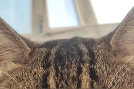 近日无聊，讲个恐怖故事吧！图片